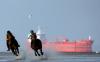 galop 7, avis de tempête galop 7, avis de tempête